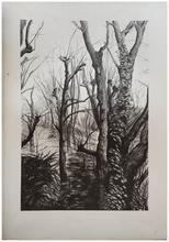 Dans la forêt de Meudon - 1971