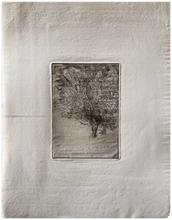 Le pommier - 1967
