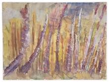 Forêt de Nuremberg - 1963