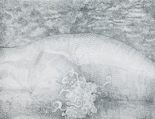 Vénus (L'Aliment Blanc) - 1964