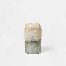 Tomate grise et blanche, 1973