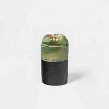 Tomate verte et noire, 1977