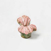 Fleur de géranium, 1970
