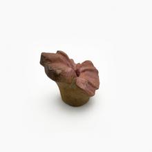 Fleur de géranium (moyenne), 1977