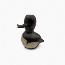 Canard aztéque ventre blanc, 1971