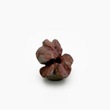 Fleurs de géranium rose (moyenne), 1978