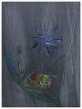 Fleurs 04 - 1982