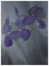 Fleurs 06 - 1982