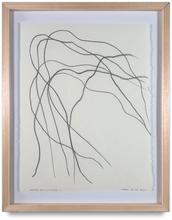 Chose de la mer, 2018