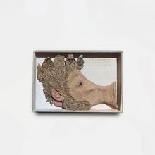 Tête de cocardier mise en boîte — 1972