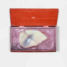 Souvenir persistant de Nina Thoeren - 1961