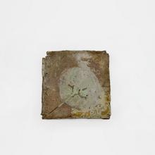 Plat nénuphar, 1963