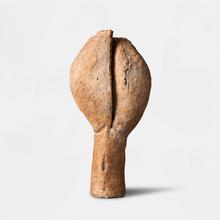 Plante avec deux lobes, 1998