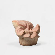 Grande fleur de géranium, 1979