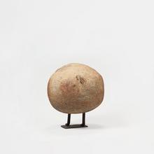 Poule ronde, 1972
