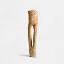 Tibia et péroné, 2004