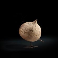 Grande pintade, 1969