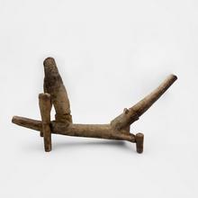 Eléments d'insecte, 1964