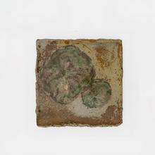 La feuille de capucine (Plat), 1976