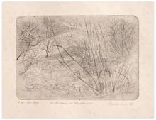 DES ROSEAUX ET DES BRANCHES — 1962