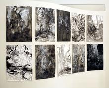 la nuit d'étang — 2007