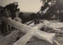 Sunlove - 1967