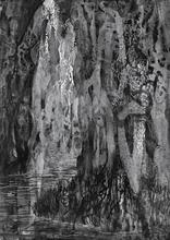 mangrove highlights — 2007