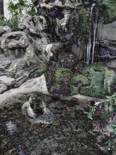  le baiser de l'hydre (Montsouris) — 2008