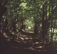 Chemins n°04 - 1998-1999