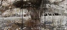 banyan axis mundi — 2013