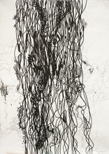 xylomorphe — 2004