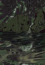 night vision — 2008