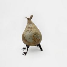 Pintade, 1969