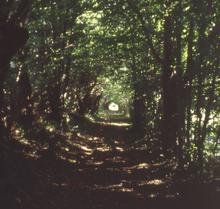Chemins n°04 - 1998-1999