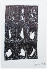 Feux, apparitions n°01 - 1992