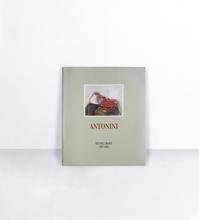 Annapia Antonini: Catalogue raisonné de l'oeuvre gravé. Tome 3, 1987-1993