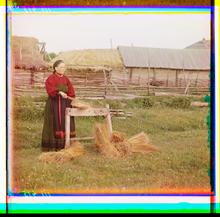 Peasant woman breaking flax.