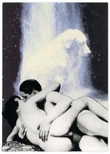 Double Jeu, William Wegman - 2022