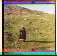 Shepherd. 