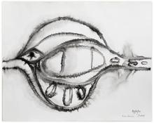 Sans titre, Le poisson, le caelacante, Journal de l’œuvre - 1960
