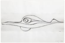 Sans titre, Le poisson, le caelacante, Journal de l’œuvre - 1961