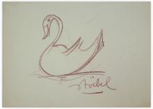 cygne — 