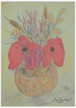 coquelicot en pot — 