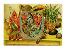 Double jeu, Frida Kahlo - 2024