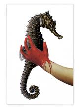 Double jeu, Hippocampus - 2024