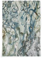 les cerfs voient-ils en bleu ? — 2003