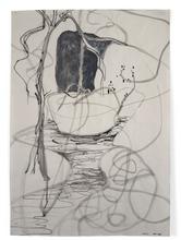 2db-45x63 aou _ 2005