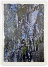 4F blue forest — 2004