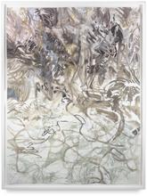 biotope — 2009