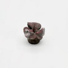 Fleur géranium, 1973